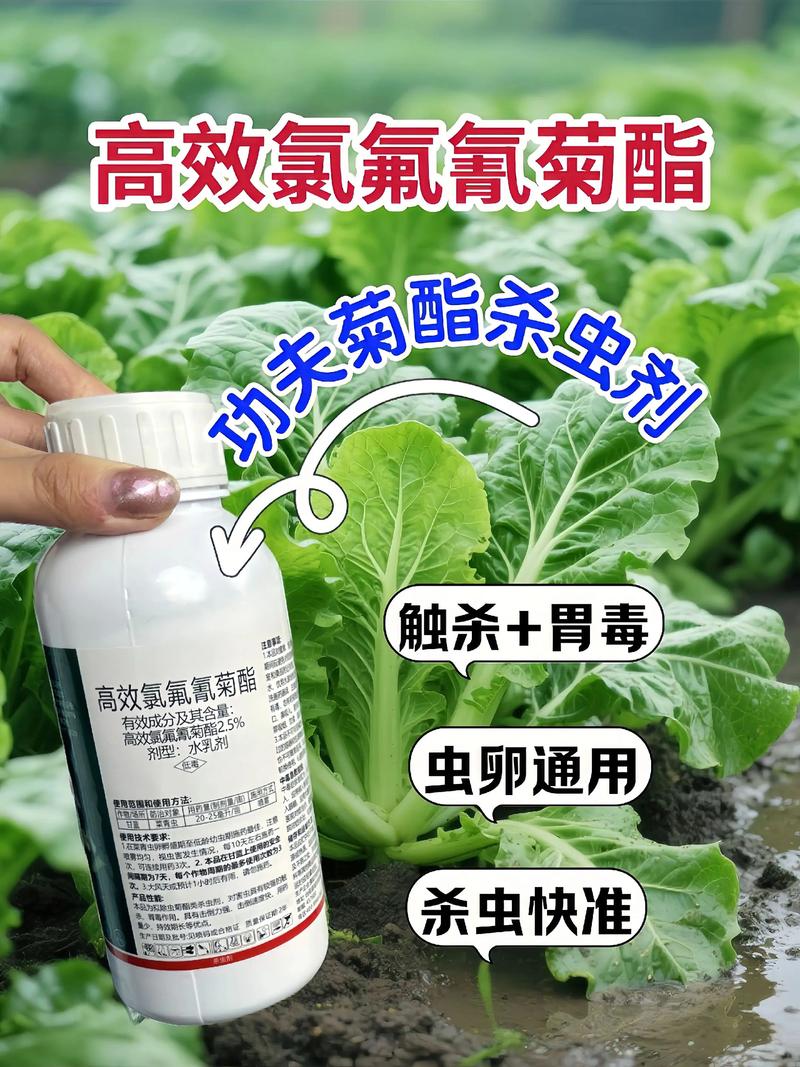 海口代生中心:农药对供卵代生妈妈的危害